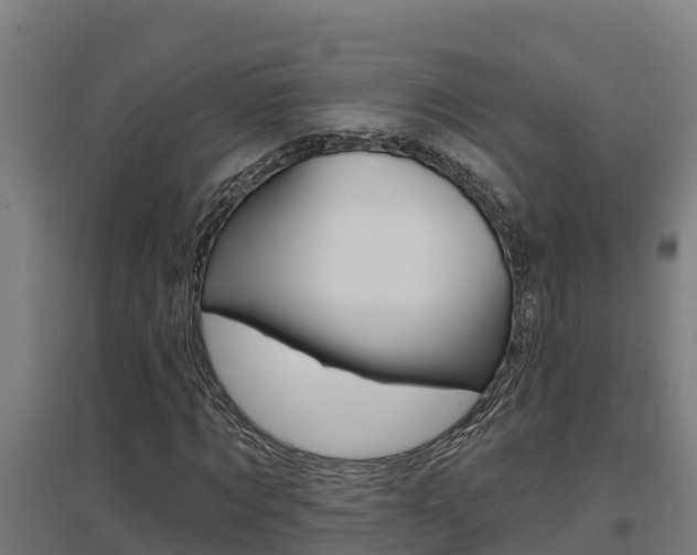 X0000097590869200802290747