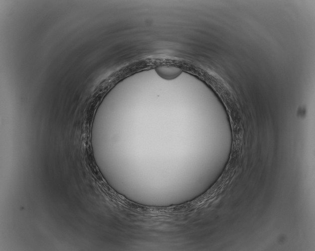 X0000097590870200802290747