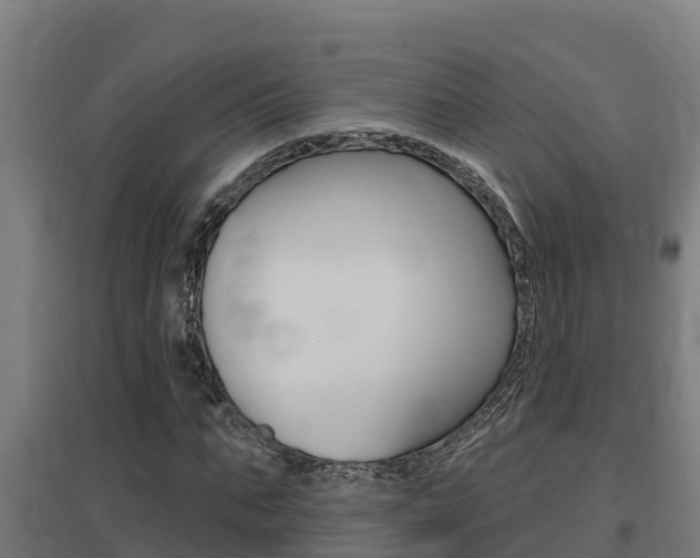 X0000097590871200802290747