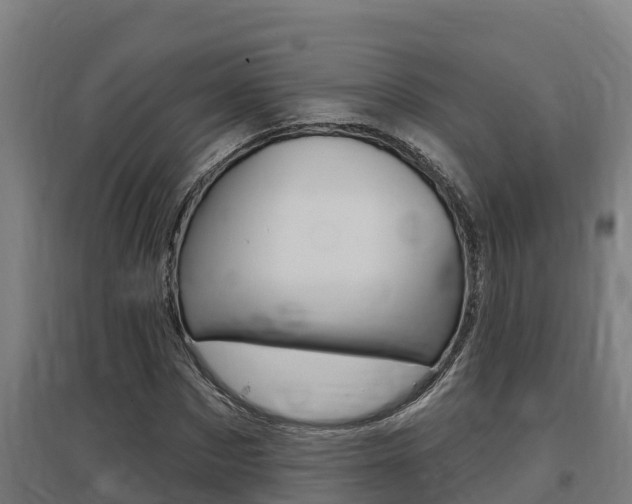 X0000097590873200802290747