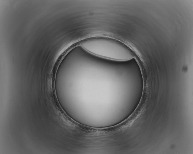 X0000097590877200802290747