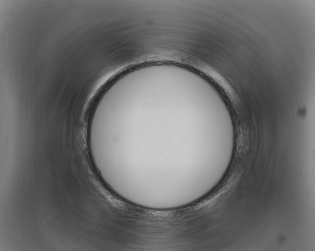 X0000097590878200802290747
