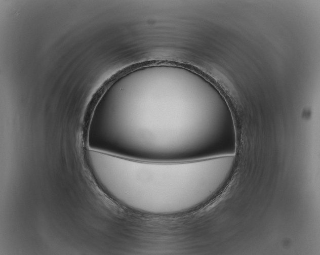 X0000097590880200802290747