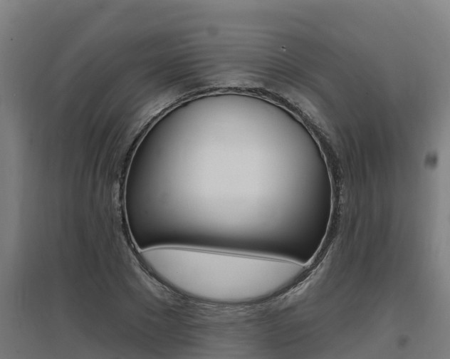 X0000097590881200802290747