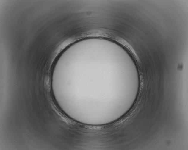 X0000097590882200802290747