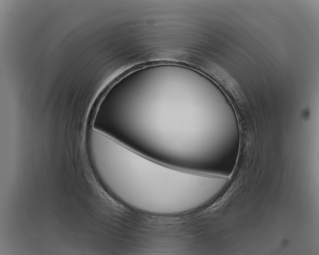 X0000097590884200802290747