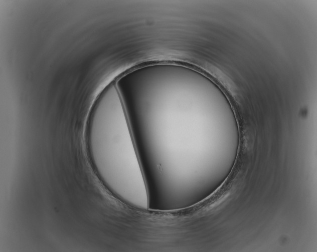 X0000097590885200802290747