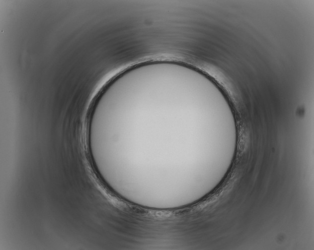 X0000097590886200802290747