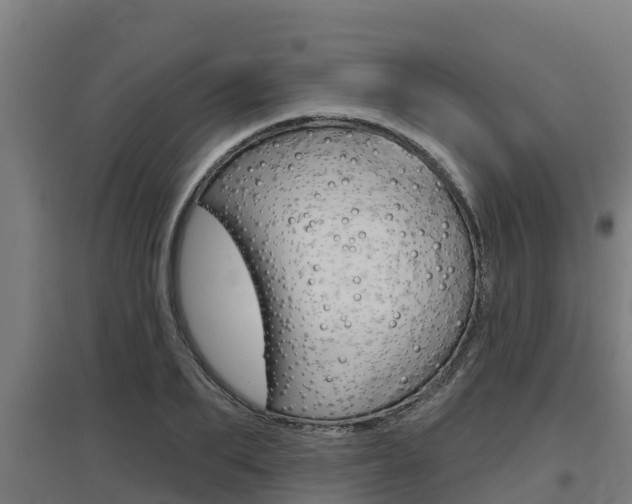 X0000097590887200802290747