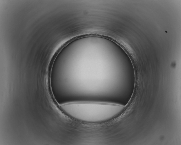 X0000097590888200802290747