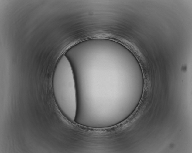X0000097590889200802290747