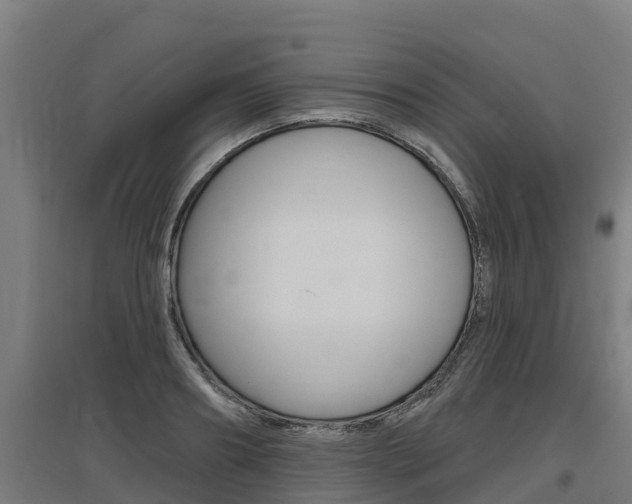 X0000097590890200802290747