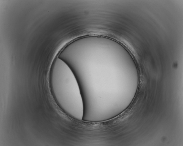 X0000097590891200802290747