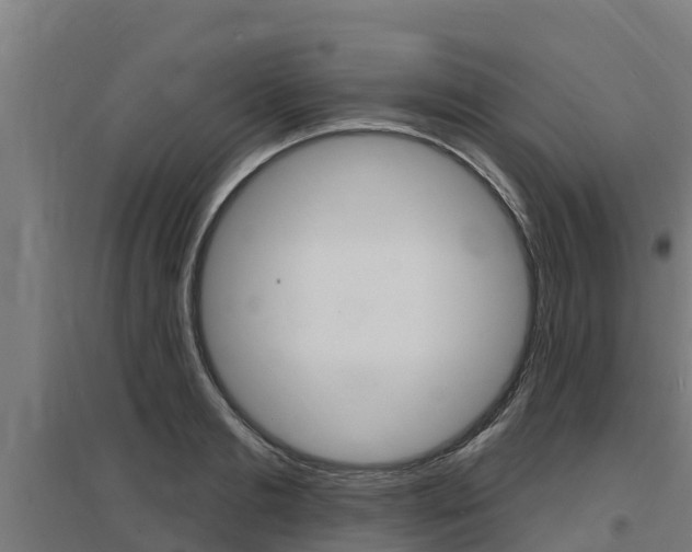 X0000097590893200802290747