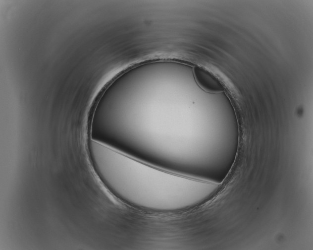 X0000097590894200802290747