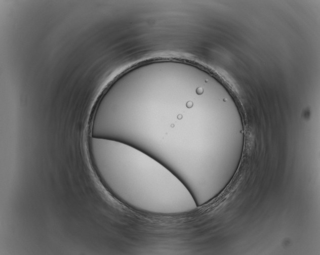 X0000097590895200802290747