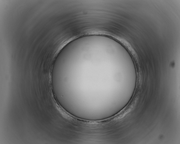 X0000097590897200802290747