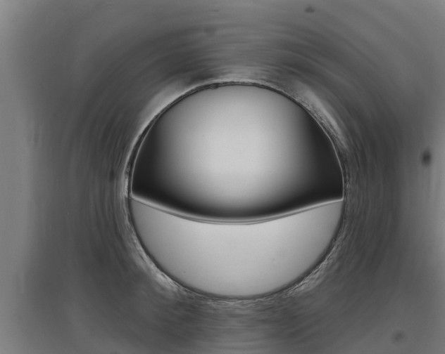 X0000097590900200802290747