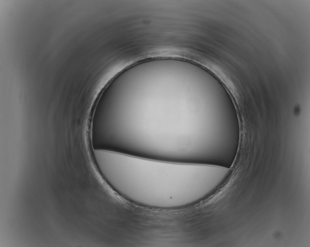 X0000097590901200802290747