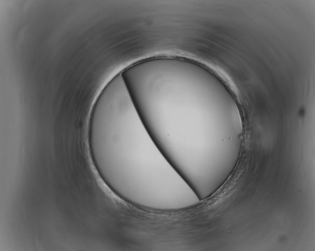 X0000097590903200802290747
