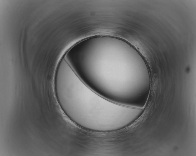 X0000097590904200802290747