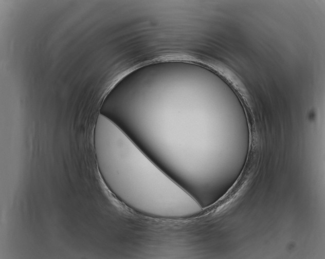 X0000097590905200802290747