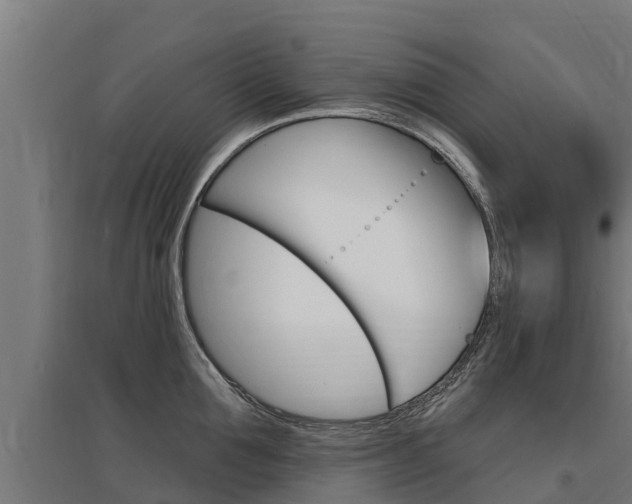 X0000097590907200802290747