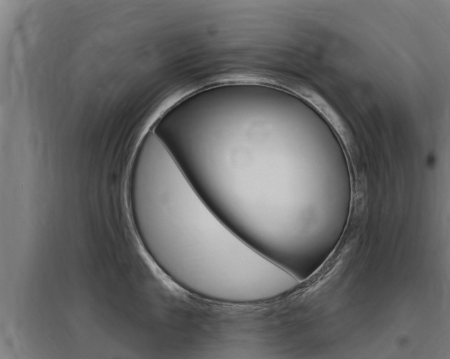 X0000097590909200802290747