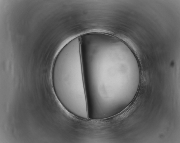 X0000097590910200802290747