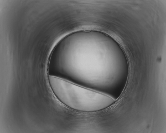 X0000097590912200802290746