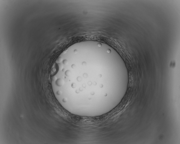 X0000097590913200802290746