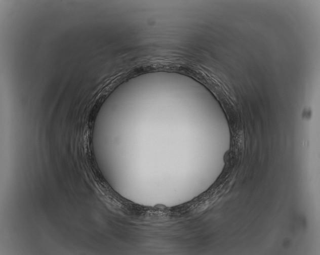 X0000097590914200802290746