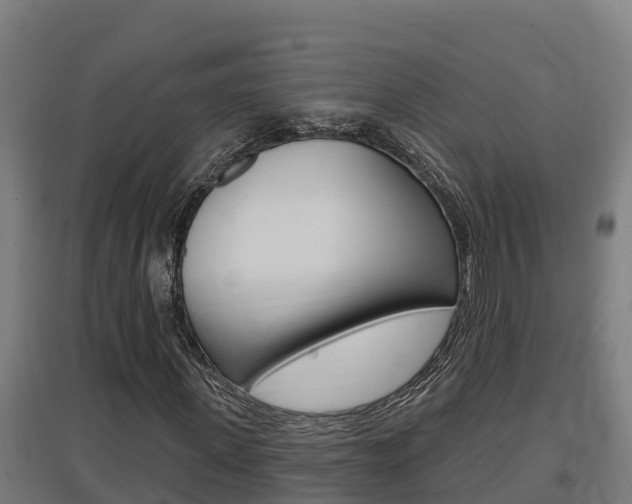 X0000097590915200802290746