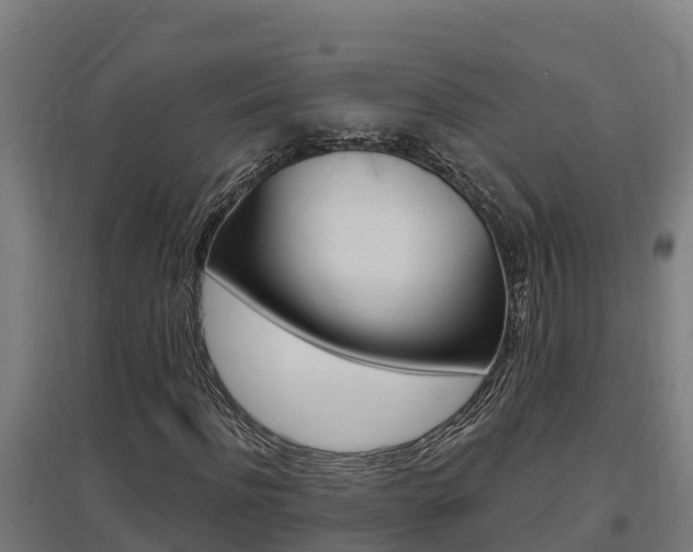 X0000097590916200802290746