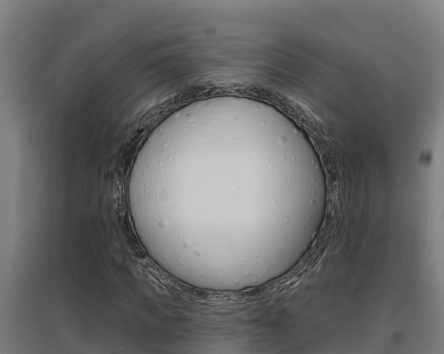 X0000097590917200802290746