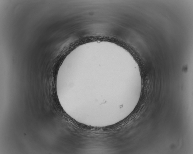 X0000097590918200802290746