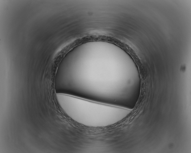 X0000097590919200802290746