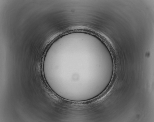 X0000097590921200802290746