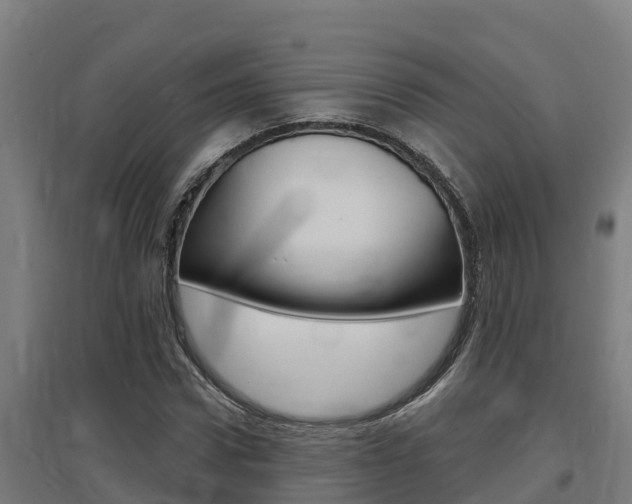 X0000097590922200802290746