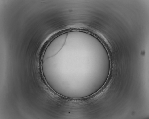X0000097590923200802290746