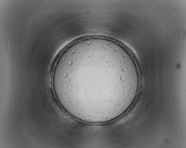 X0000097590925200802290746