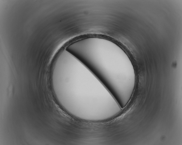 X0000097590926200802290746