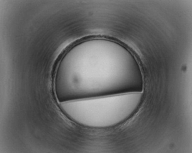 X0000097590927200802290746