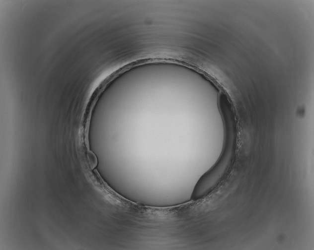 X0000097590928200802290746