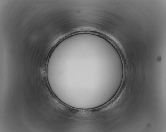 X0000097590929200802290746