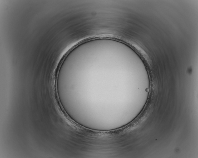 X0000097590933200802290746