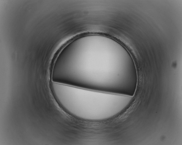 X0000097590935200802290746