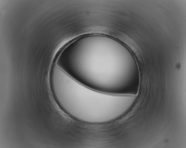 X0000097590936200802290746