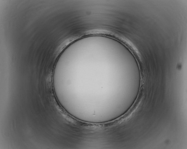 X0000097590937200802290746