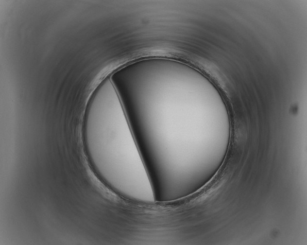 X0000097590938200802290746